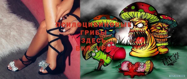 крисы Абинск