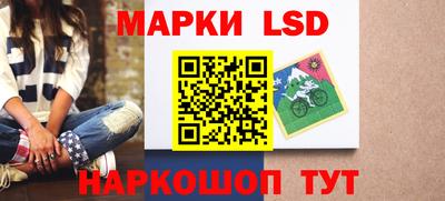 гидропоника Пугачёв