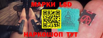 гидропоника Пугачёв