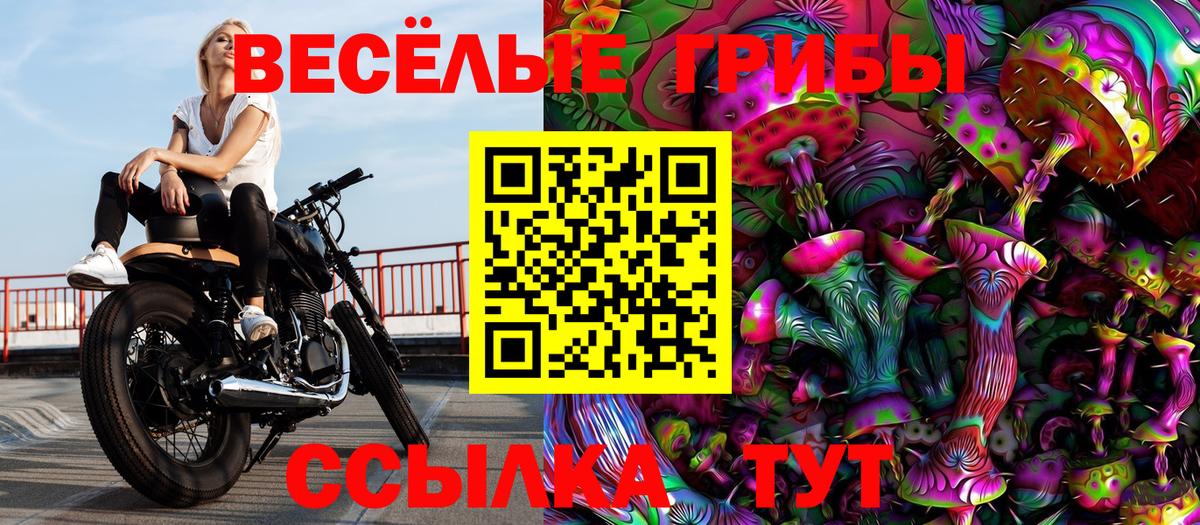 купить  цена  Галлюциногенные грибы мицелий  Вход с VPN  Янаул 