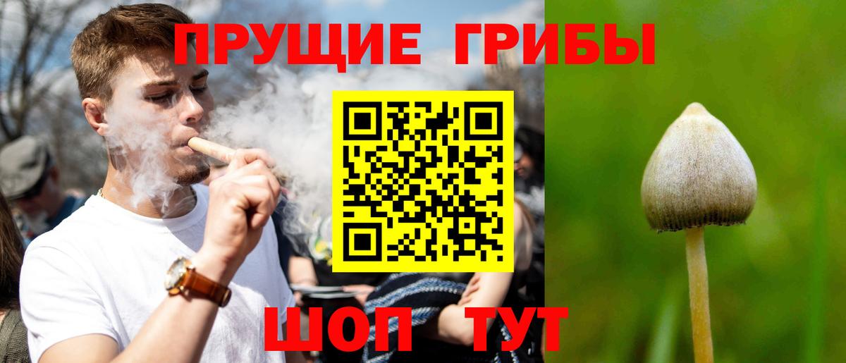 Псилоцибиновые грибы MAGIC MUSHROOMS Янаул