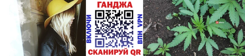 Конопля гибрид  Янаул 